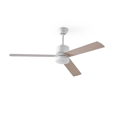Ceiling Fan lights